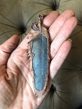 Load image into Gallery viewer, Electroformed Macaw Feather Necklace