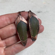 Load image into Gallery viewer, Electroformed Green Macaw Feather Earrings #2 - Ready to Ship