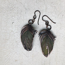 Load image into Gallery viewer, Electroformed Green Macaw Feather Earrings - Ready to Ship