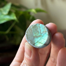 Load image into Gallery viewer, Labradorite Cauldron #2 - Made to Order