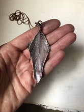 Load image into Gallery viewer, Electroformed Macaw Feather Necklace #3 - Ready to Ship