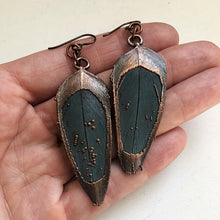 Load image into Gallery viewer, Electroformed Macaw Feather Earrings #2 - Ready to Ship (5/17 Update)