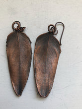 Load image into Gallery viewer, Electroformed Macaw Feather Earrings #2 - Ready to Ship (5/17 Update)
