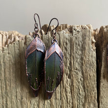 Load image into Gallery viewer, Electroformed Green Macaw Feather Earrings #1 - Ready to Ship