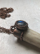 Load image into Gallery viewer, Labradorite & Naturally Shed Deer Antler Tip Necklace #2