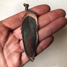 Load image into Gallery viewer, Electroformed Multi-Colored Macaw Feather Necklace - Ready to Ship