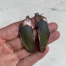 Load image into Gallery viewer, Electroformed Green Macaw Feather Earrings #3 - Ready to Ship