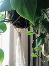Load image into Gallery viewer, Macrame Plant Holder with Sun Catcher - Made to Order