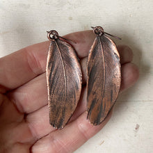 Load image into Gallery viewer, Electroformed Blue & Green Macaw Feather Earrings - Ready to Ship