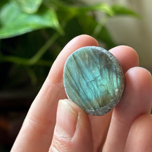 Load image into Gallery viewer, Labradorite Cauldron #10 - Made to Order