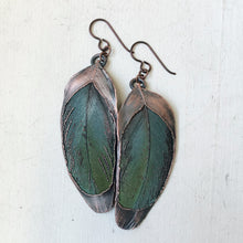Load image into Gallery viewer, Electroformed Green Macaw Feather Earrings #2 - Ready to Ship