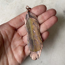Load image into Gallery viewer, Electroformed Yellow Macaw Feather Necklace #4 - Ready to Ship