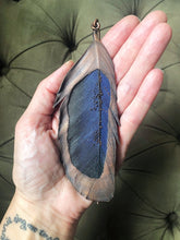 Load image into Gallery viewer, Large Blue Macaw Feather Necklace - Ready to Ship