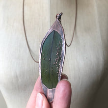 Load image into Gallery viewer, Electroformed Green Macaw Feather Necklace #2- Ready to Ship