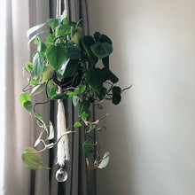 Load image into Gallery viewer, Macrame Plant Holder with Sun Catcher - Made to Order