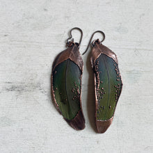 Load image into Gallery viewer, Electroformed Green Macaw Feather Earrings #3 - Ready to Ship