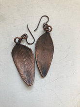 Load image into Gallery viewer, Electroformed Macaw Feather Earrings #1 - Ready to Ship (5/17 Update)