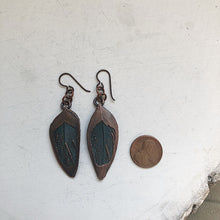 Load image into Gallery viewer, Electroformed Macaw Feather Earrings #1 - Ready to Ship (5/17 Update)