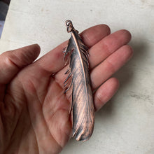 Load image into Gallery viewer, Electroformed Charcoal Grey Dove Feather & Opal Necklace #2- Ready to Ship