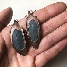 Load image into Gallery viewer, Electroformed Macaw Feather Earrings #2 - Moksha Collection