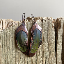 Load image into Gallery viewer, Electroformed Green Macaw Feather Earrings #3 - Ready to Ship