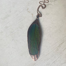 Load image into Gallery viewer, Electroformed Green Macaw Feather Necklace #1- Ready to Ship