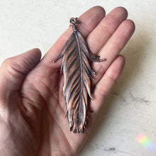 Load image into Gallery viewer, Electroformed Wild Feather Necklace