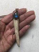 Load image into Gallery viewer, Labradorite & Naturally Shed Deer Antler Tip Necklace #2