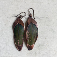 Load image into Gallery viewer, Electroformed Green Macaw Feather Earrings #2 - Ready to Ship