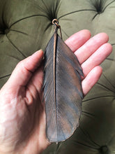 Load image into Gallery viewer, Large Blue Macaw Feather Necklace - Ready to Ship