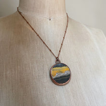 Load image into Gallery viewer, Bumblebee Jasper Round Necklace