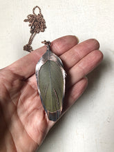 Load image into Gallery viewer, Electroformed Green Macaw Feather Necklace #2 - Ready to Ship