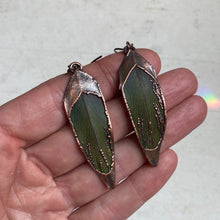 Load image into Gallery viewer, Electroformed Green Macaw Feather Earrings #1 - Ready to Ship