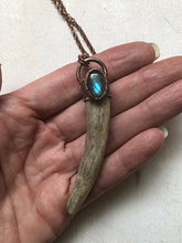 Load image into Gallery viewer, Labradorite & Naturally Shed Deer Antler Tip Necklace #3