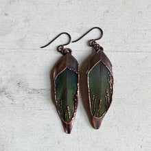 Load image into Gallery viewer, Electroformed Green Macaw Feather Earrings #1 - Ready to Ship