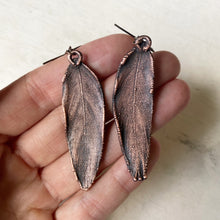 Load image into Gallery viewer, Electroformed Green Macaw Feather Earrings #1 - Ready to Ship