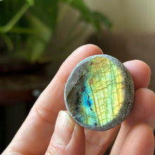 Load image into Gallery viewer, Labradorite Cauldron #12 - Made to Order