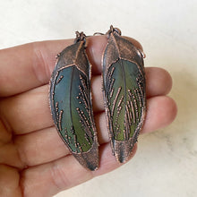 Load image into Gallery viewer, Electroformed Green Macaw Feather Earrings #2 - Ready to Ship