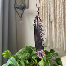 Load image into Gallery viewer, Electroformed Charcoal Grey Dove Feather & Opal Necklace #2- Ready to Ship