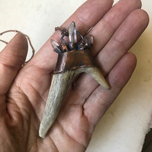 Load image into Gallery viewer, Labradorite & Naturally Shed Deer Antler Tip Necklace #3