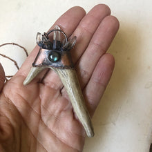 Load image into Gallery viewer, Labradorite & Naturally Shed Deer Antler Tip Necklace #3