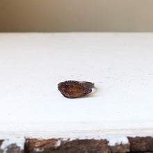 Load image into Gallery viewer, Raw Citrine Ring #4 (Size 6.25) - Summer Solstice Collection 2019
