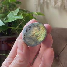 Load and play video in Gallery viewer, Labradorite Cauldron #4 - Made to Order
