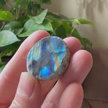 Load and play video in Gallery viewer, Labradorite Cauldron #9 - Made to Order
