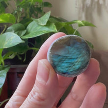 Load and play video in Gallery viewer, Labradorite Cauldron #5 - Made to Order
