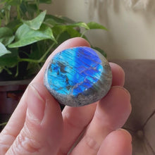Load and play video in Gallery viewer, Labradorite Cauldron #8 - Made to Order
