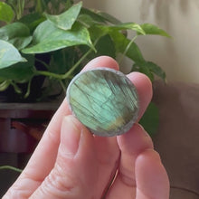 Load and play video in Gallery viewer, Labradorite Cauldron #10 - Made to Order
