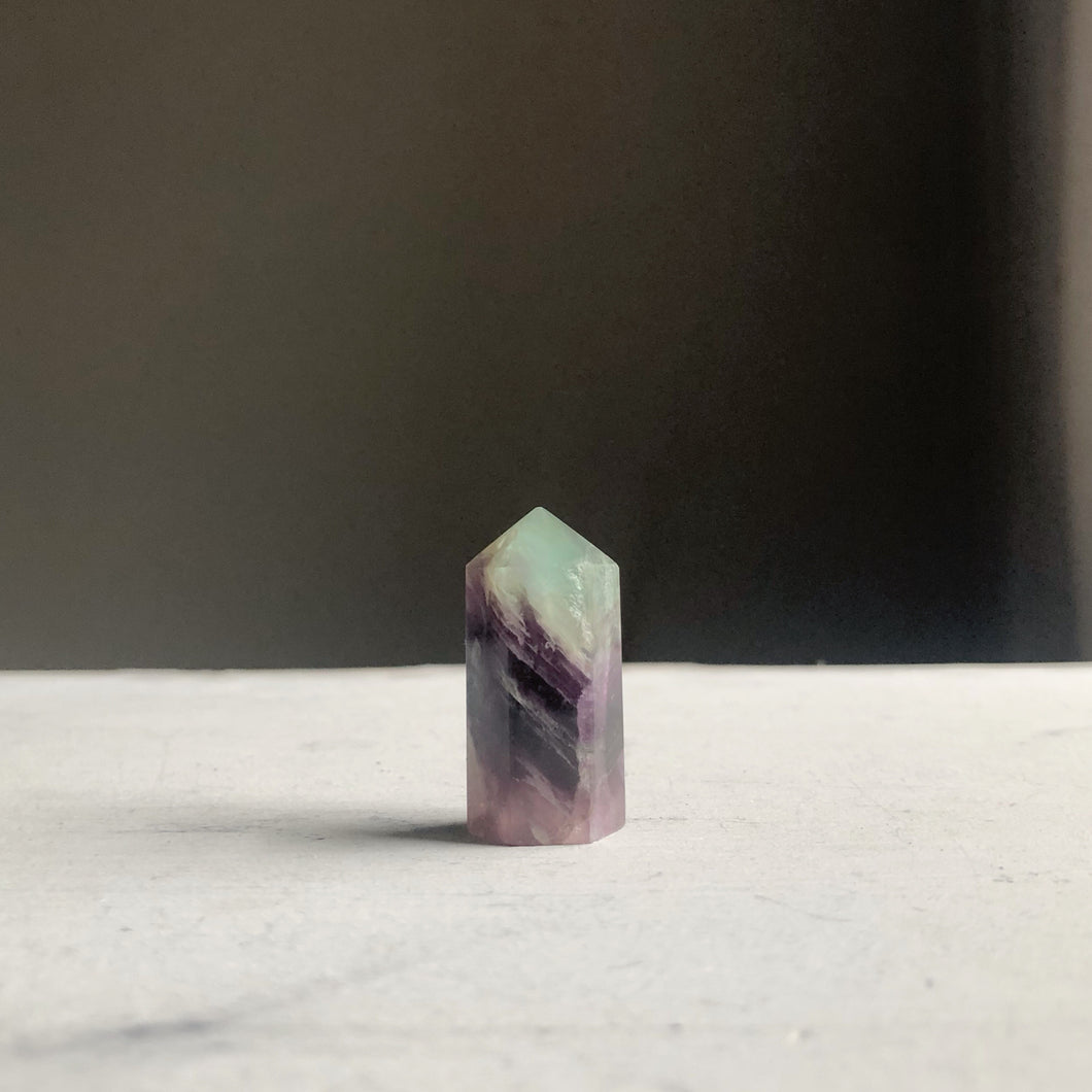 Fluorite Polished Point Necklace #15 - Equinox 2020