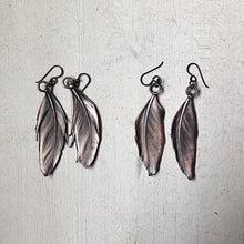 Load image into Gallery viewer, Electroformed  Feather Earrings (Large) - Ready to Ship
