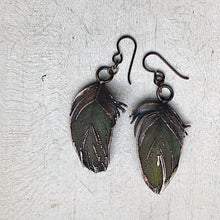 Load image into Gallery viewer, Electroformed Green Macaw Feather Earrings - Ready to Ship
